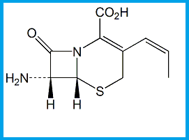 CEFPROZIL EP IMPURITY D